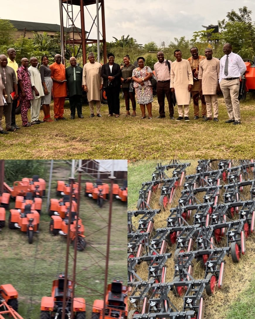 Coffee Farming Gains Momentum in Cross River as State Government Targets Global Export Market
