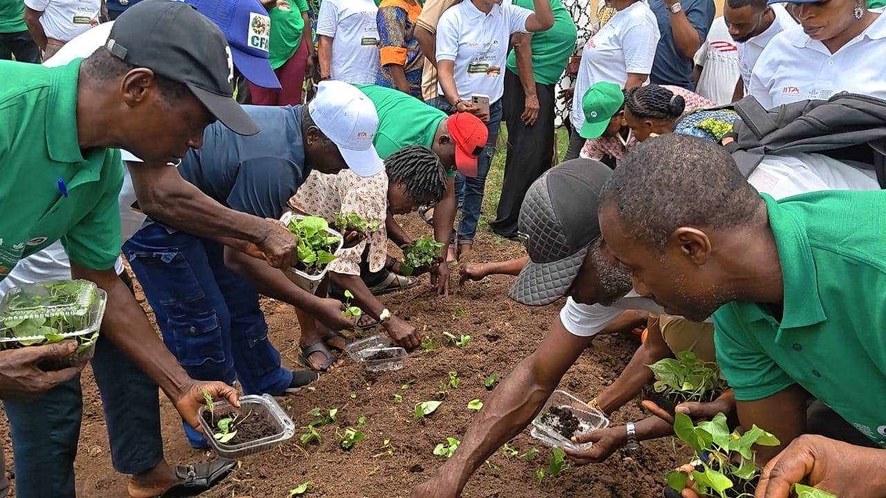 C’RIVER CONCLUDES TRAIN-THE-TRAINER WORKSHOP ON MODERN SEED YAM PRODUCTION