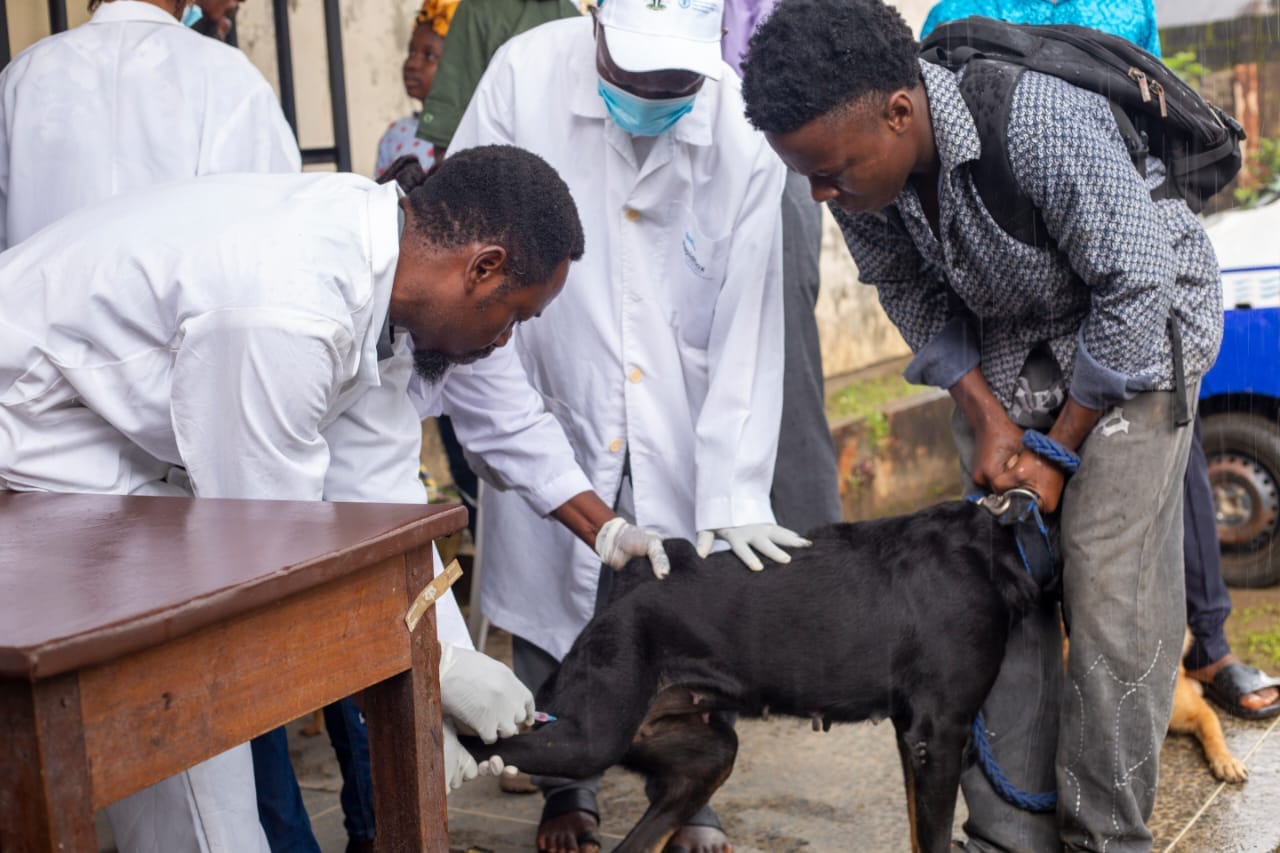 C'River Begins Free Pet Vaccination to Check Rabies Spread in Calabar